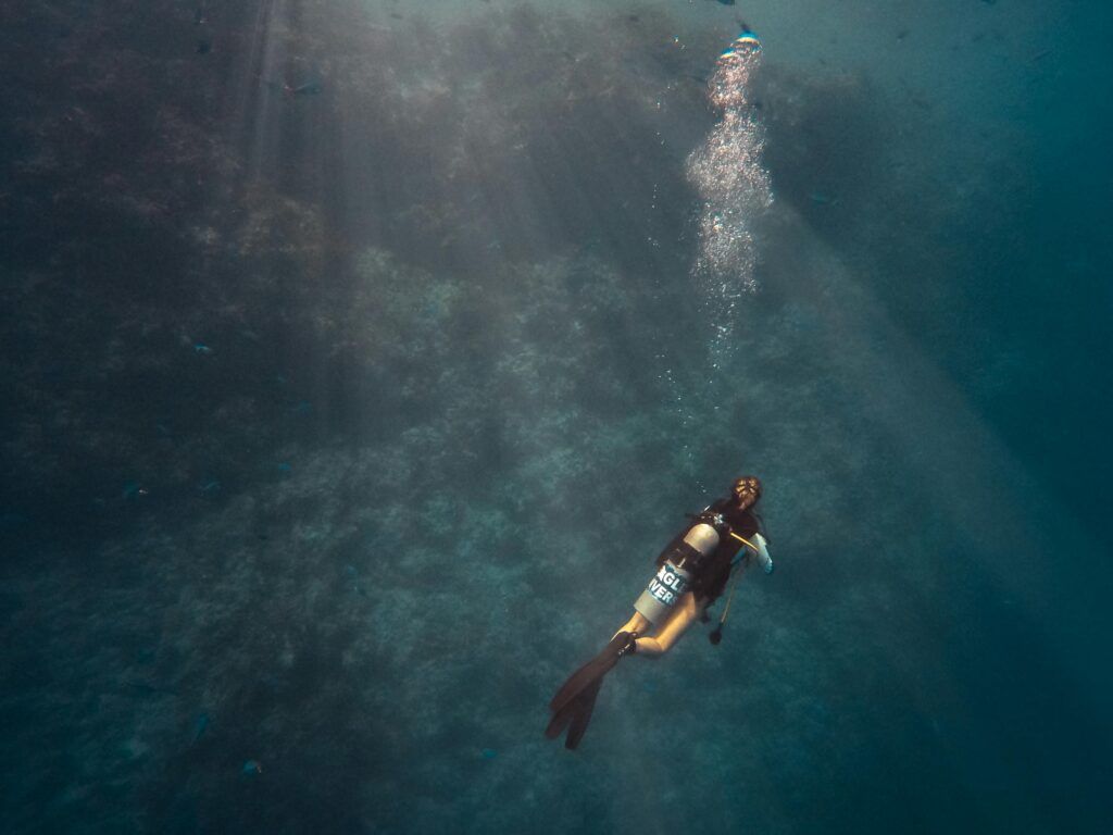 Descubre Egipto: Un Paraíso Submarino para Buceadores 2 pexels avivperets 3257802